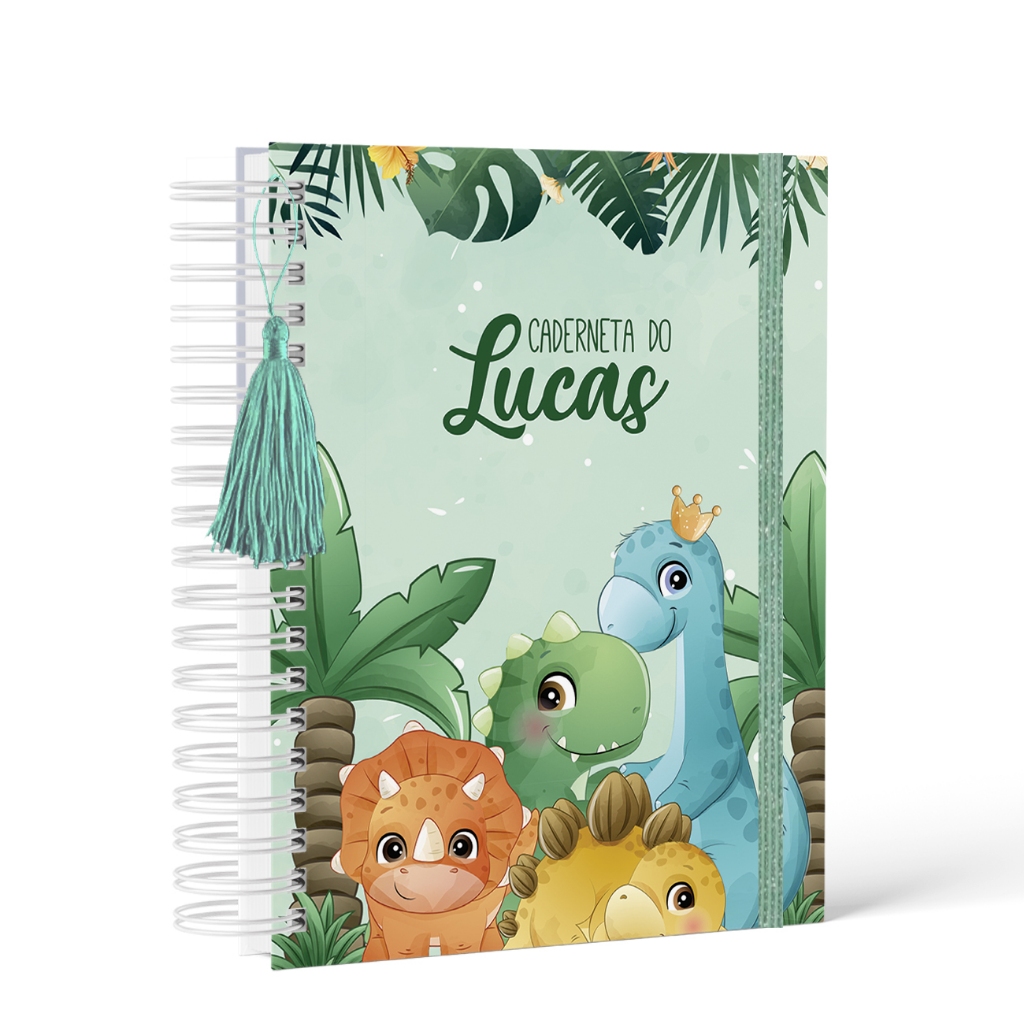 Caderneta de Saúde/Vacina - Capa Dura - Menino - Personalizada - Vários Temas 6