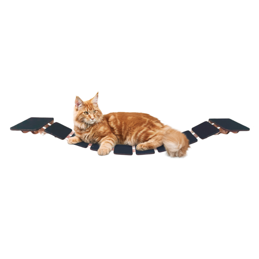 Ponte para Gato em mdf com Carpete Antiderrapante linha Playground Pet - ENVIADO 100% MONTADO em Oferta na Shopee