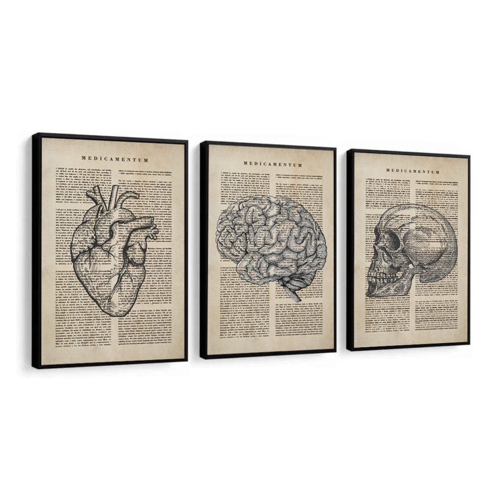 Quadro Decorativo Medicina Consultório Cérebro Coração Crânio Esqueleto Decoração Escritório Médico Vintage Lindo Jornal Antigoo