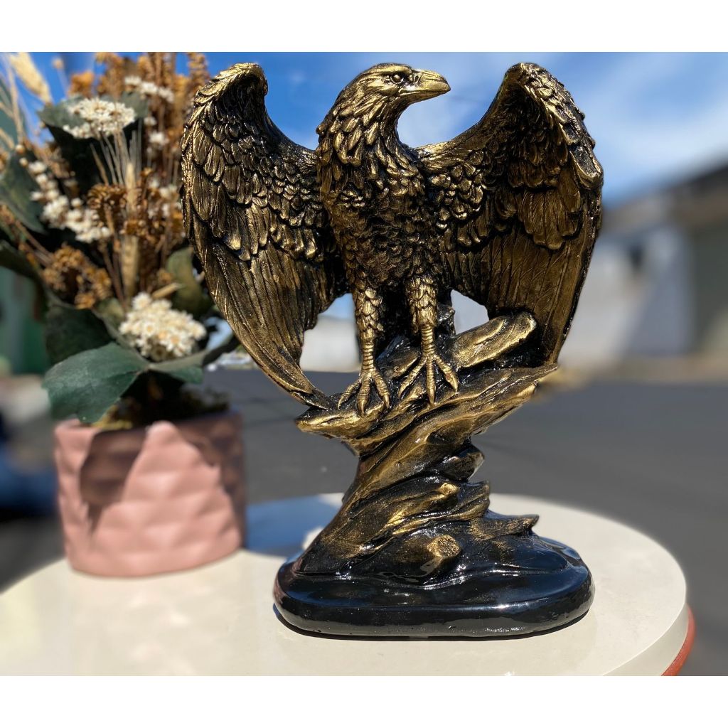 Aguia Asa Aberta: Onde Comprar | BuscaProdutos