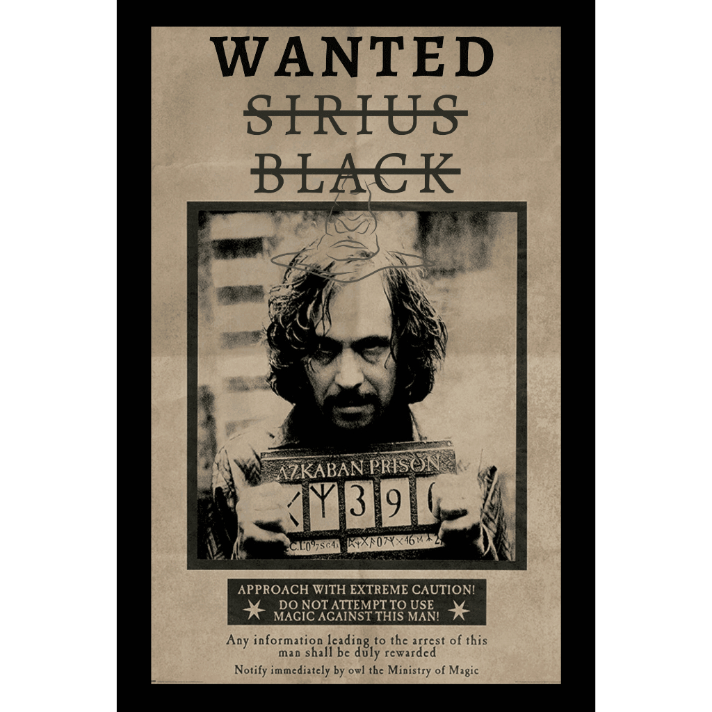 Poster Harry Potter Sirius Black Tamanho Grande A3 Cartaz De Cinema - Quadro Sirius Black