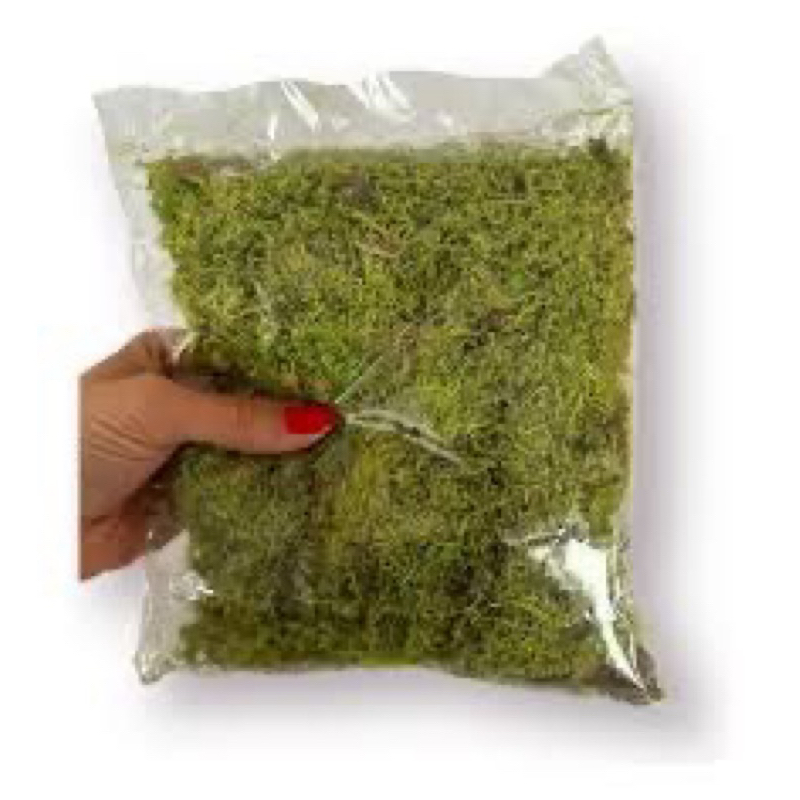 Pacote de musgo 25g jardim Substrato Natural Para Artesanato Arranjos Orquídeas