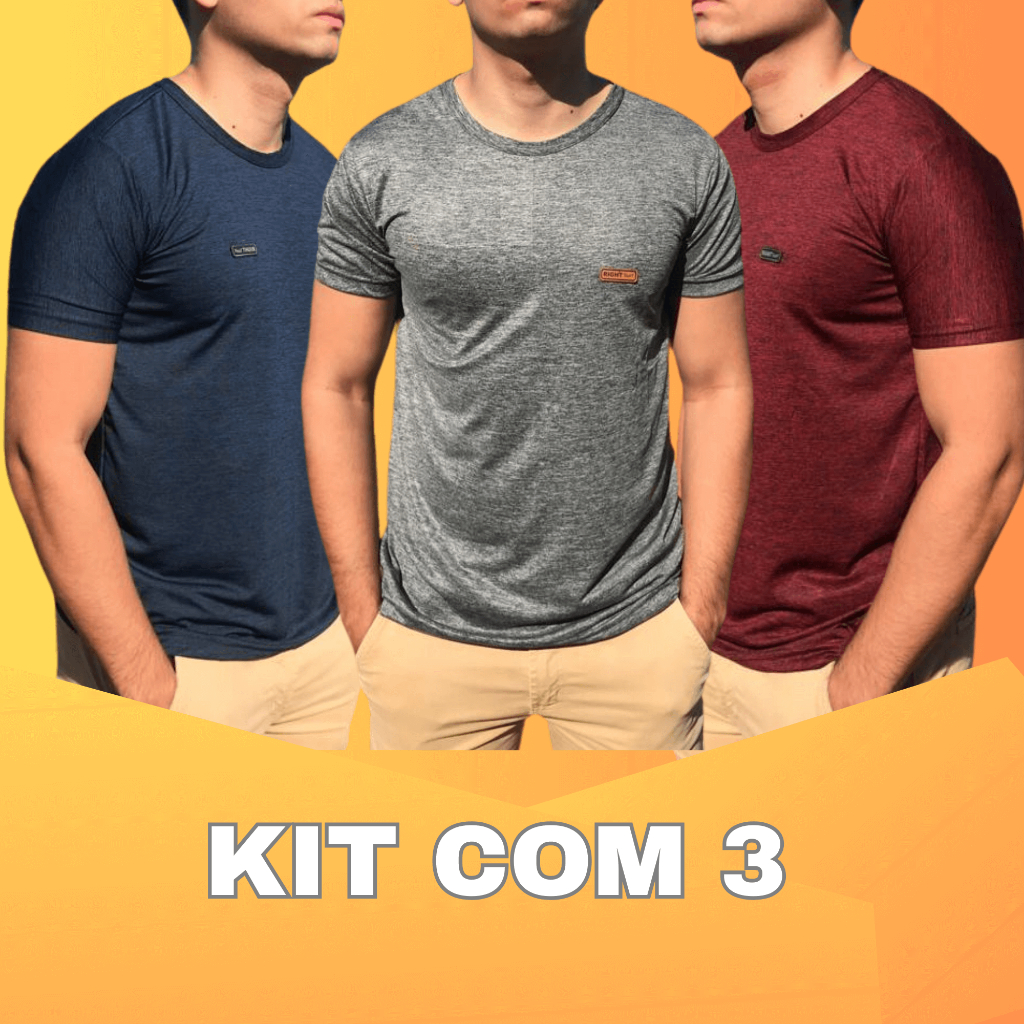 Kit 3 Camisetas Básica Masculina Camisa Manga Curta Dryfit Gola Careca Blusa Masculino Malha Fria