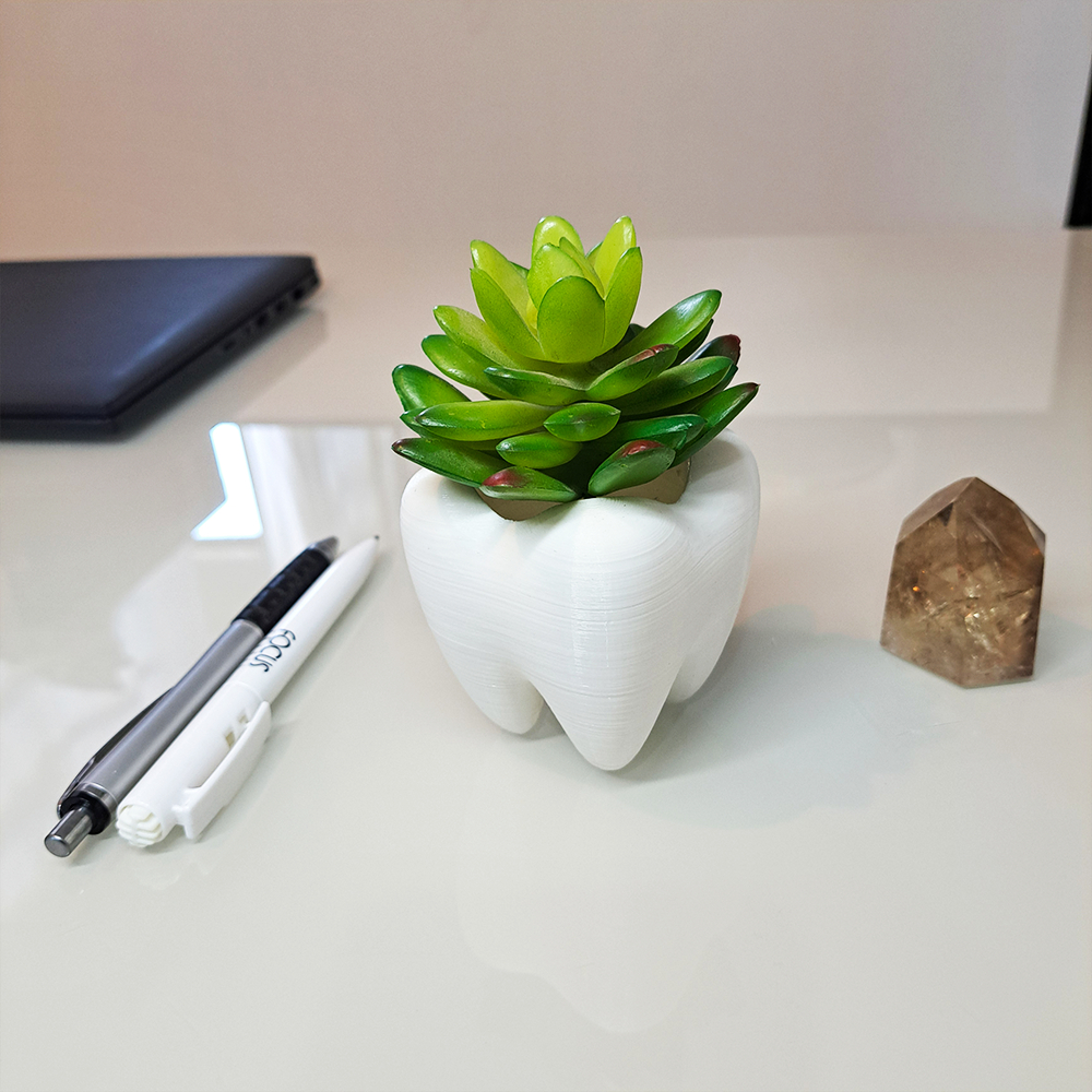 Vaso Dente Molar Dentista Suculenta Odontologia Odonto Vasinho Decorativo Porta Treco Branco em Oferta na Shopee