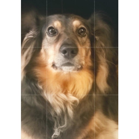 Clipe para Selfie de Dog Adaptador para Petiscos para Celulares