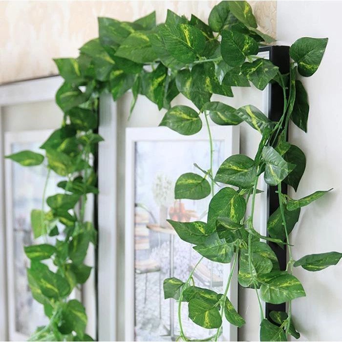 Kit 4 Metros Folhagem Pendente Trepadeira Planta Artificial Flores Artificiais Para Decoração Ramos