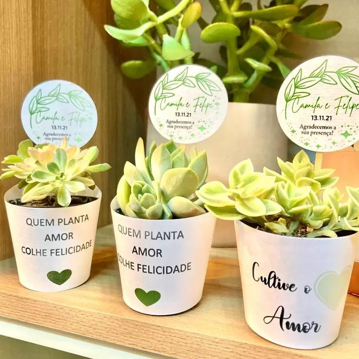 Rótulos + Tag Branco Personalizados para lembrancinhas de Suculentas Pote 6 como casamentos, batizado aniversario festa em Oferta na Shopee