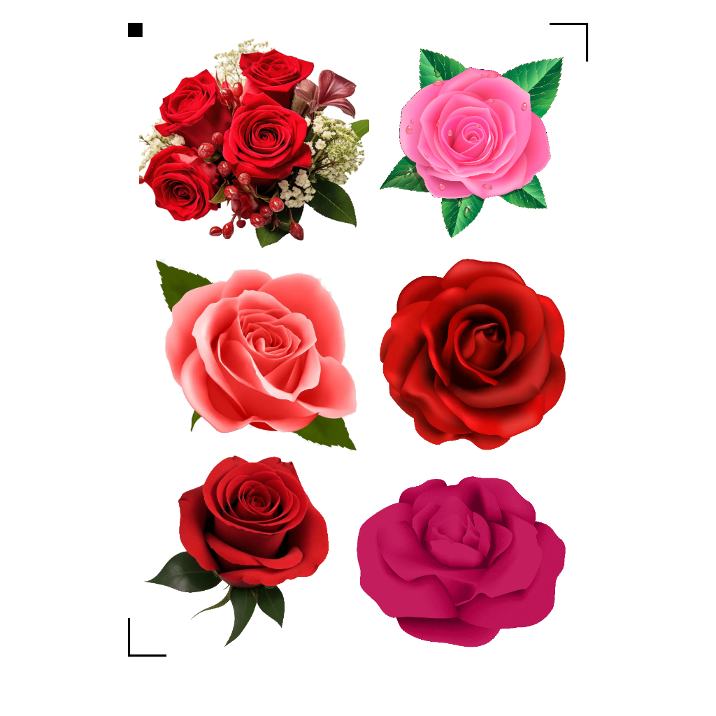 Adesivos flores á prova d'água cores vivas e brilhantes  temos á pronta entrega chega rapidinho. em Oferta na Shopee