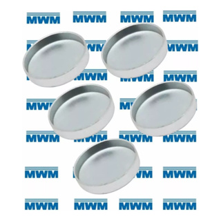 Kit 5 Selos Bloco Motor Ranger 2.8/3.0 Original Mwm 45,94mm em Oferta na Shopee