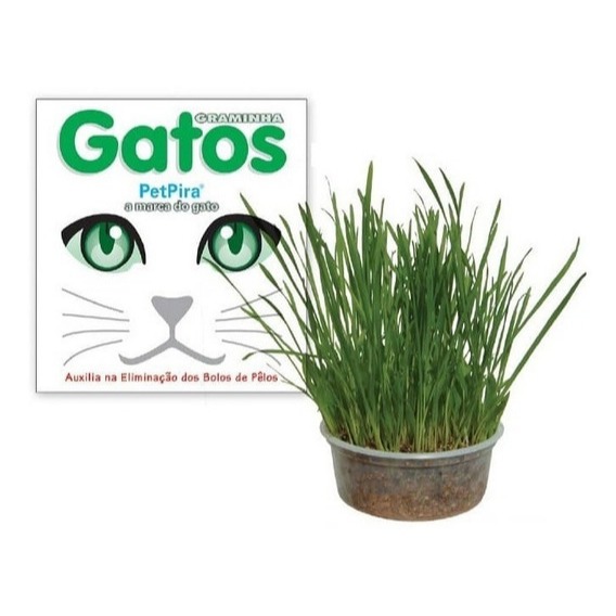 Graminha Digestiva 100% Natural Regula A Flora Pet Grama para Cachorro Pet Shop