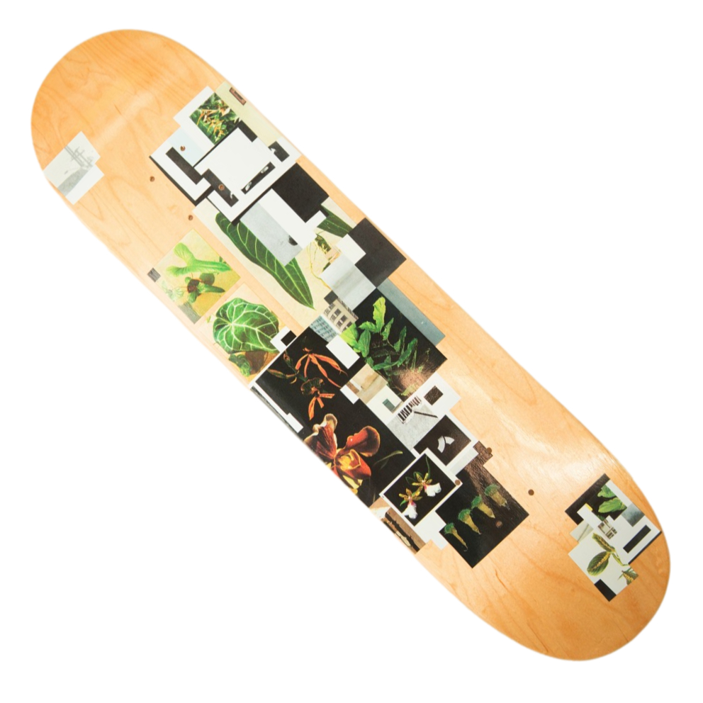 Shape de Skate Branco: Onde Comprar | BuscaProdutos