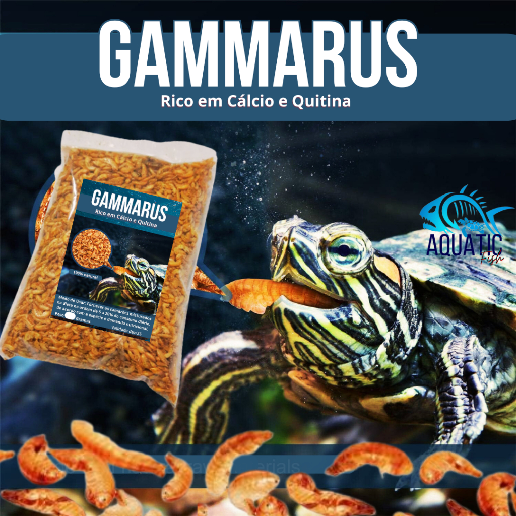 Gammarus Camarão para Tartarugas e Jabutis - Rico em Cálcio e Quitina