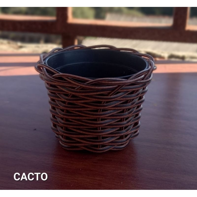 kit com 10 Vasinhos suculenta cacto