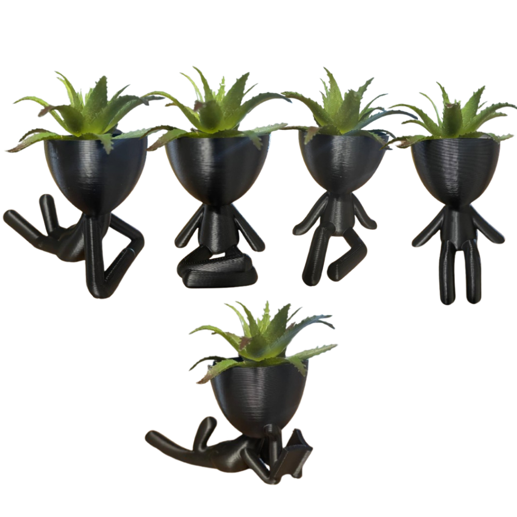 KIT 5 Vasinhos decorativos para cactos e suculentas / Robert Plant Bob em Oferta na Shopee