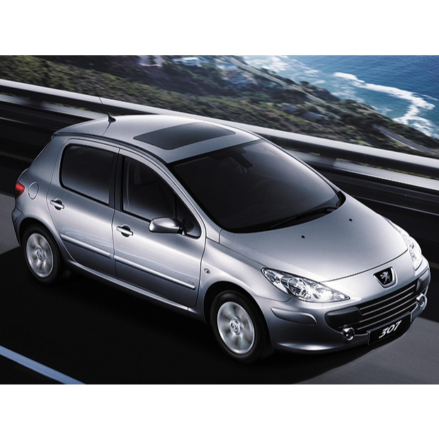 Parafuso Bujão Do Óleo Magnético+anel grátis Peugeot 306/307/308 todos — imagem 2 de 2