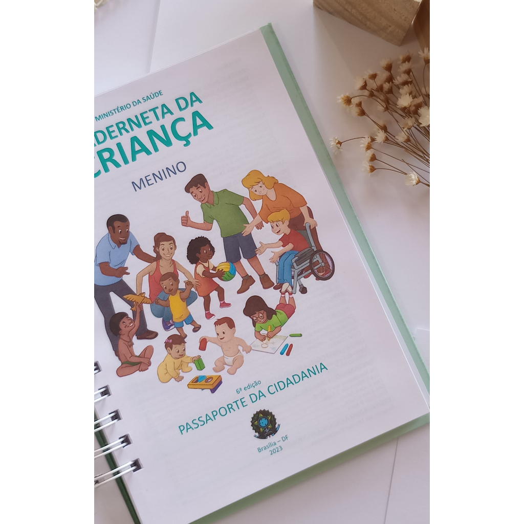 Caderneta de Vacinação Infantil Personalizada Atualizada Capa Dura com o nome na Capa