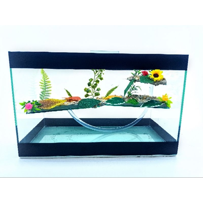 Terrário N°6 Extra Grande 45x21x28cm Tartaruga Aquário Répteis