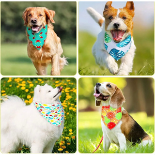 100 ou 40 Unidades Bandanas Pet Médias para Cães Bandanas para Banho e Tosa fabricacao própria Acessórios de Pescoço em Oferta na Shopee