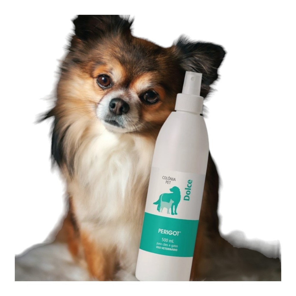 Dolce & Gabbana Perfume Dolce: Onde Comprar | BuscaProdutos