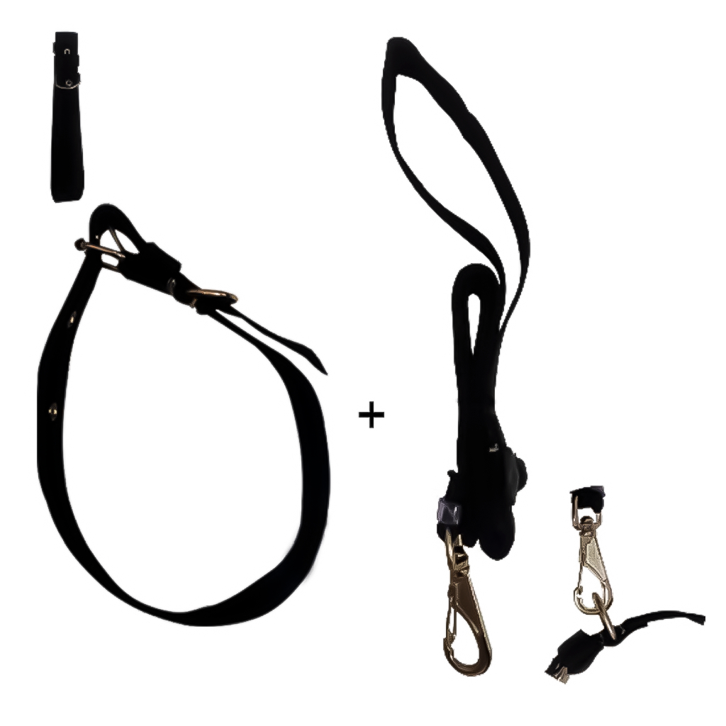 Kit Conjunto Coleira Fita Com Guia Nylon Reforçada Ajustável Para Pets Cães Gatos 97cm - Pets