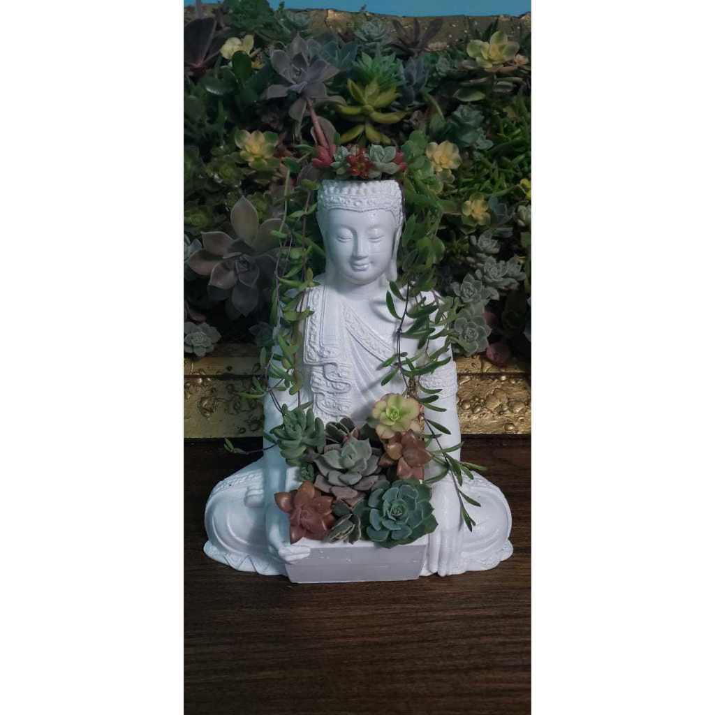 BUDA VASO DE PLANTA JARDIM THAI BUDA POTPLANT