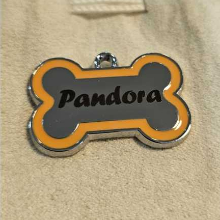 Plaquinha de Identificação para Pet Personalizada