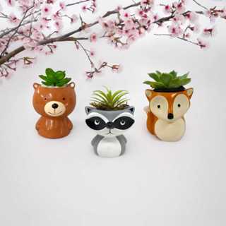 Trio Vaso Vasinho Para Suculenta Urso Marrom + Guaxinim + Raposa Marrom em Oferta na Shopee