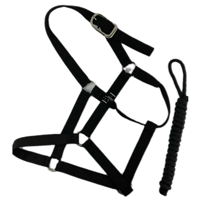 Cabresto para cavalo com cabo-fita de nylon de argola(tamanho único)