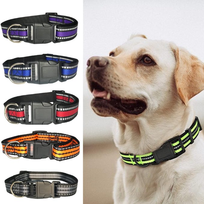 Coleira Refletiva Resistente Cachorros Pequeno Médio Grande Porte Linha Premium LR-0223 em Oferta na Shopee