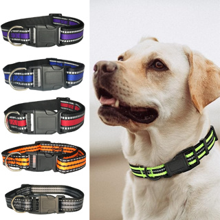Coleira Refletiva Resistente Cachorros Pequeno Médio Grande Porte Linha Premium LR-0223 em Oferta na Shopee