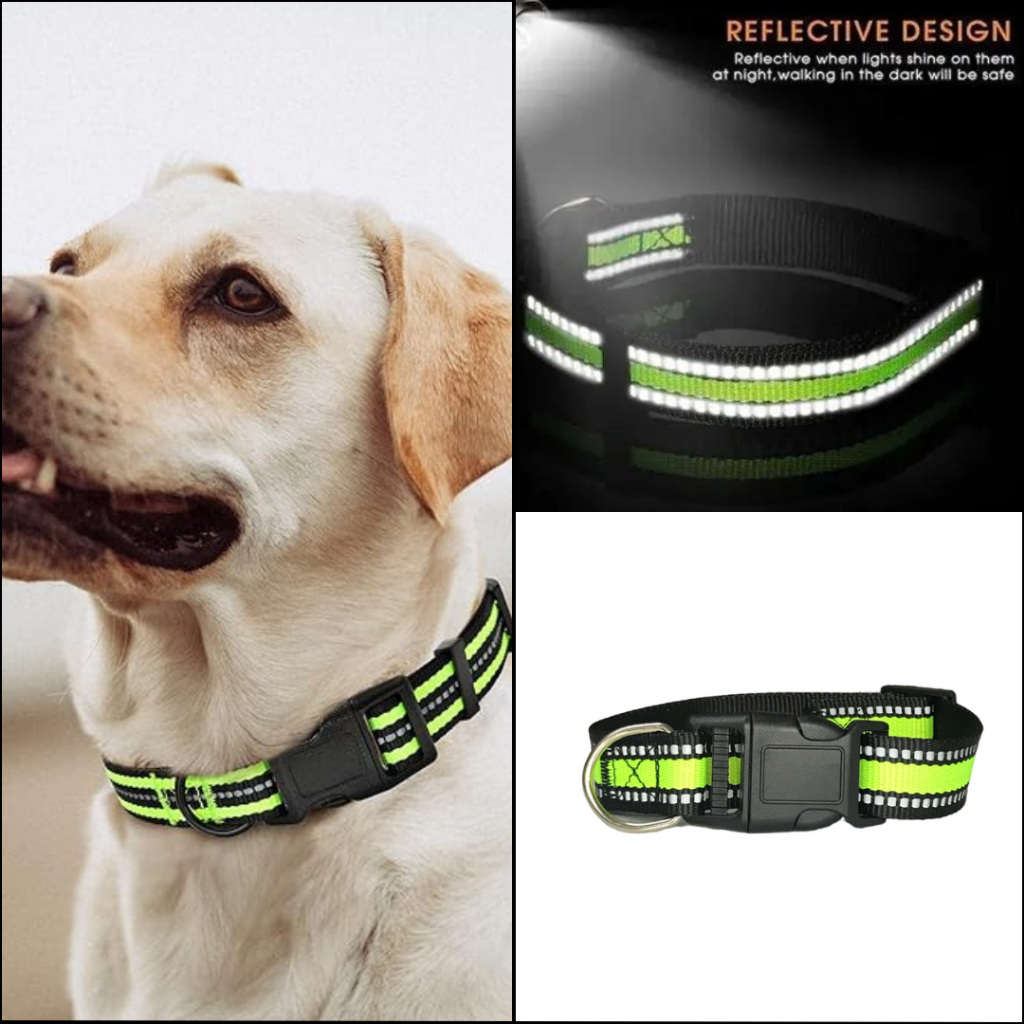 Coleira Refletiva Resistente Cachorros Pequeno Médio Grande Porte Premium Comfort