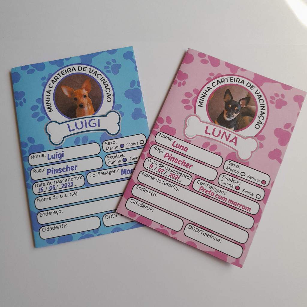 Cartão De Vacina Com Foto, Nome e Dados do Pet-Personalizado-Carteira de Vacinação Pet-Cachorro-Gato-Petshop-Veterinária