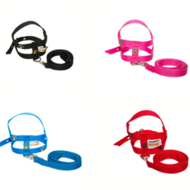 Conjunto Coleira Guia e Peitoral Para Cães Patinhas em Oferta na Shopee