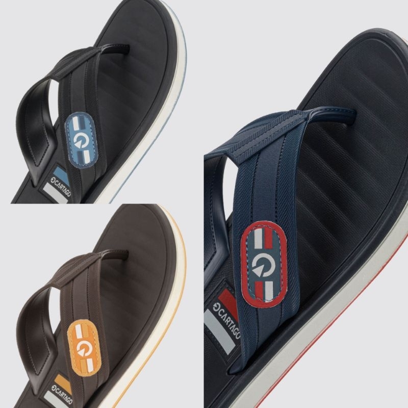 Chinelo masculino original Cartago Paris super confortável Grendene 11591 em Oferta na Shopee
