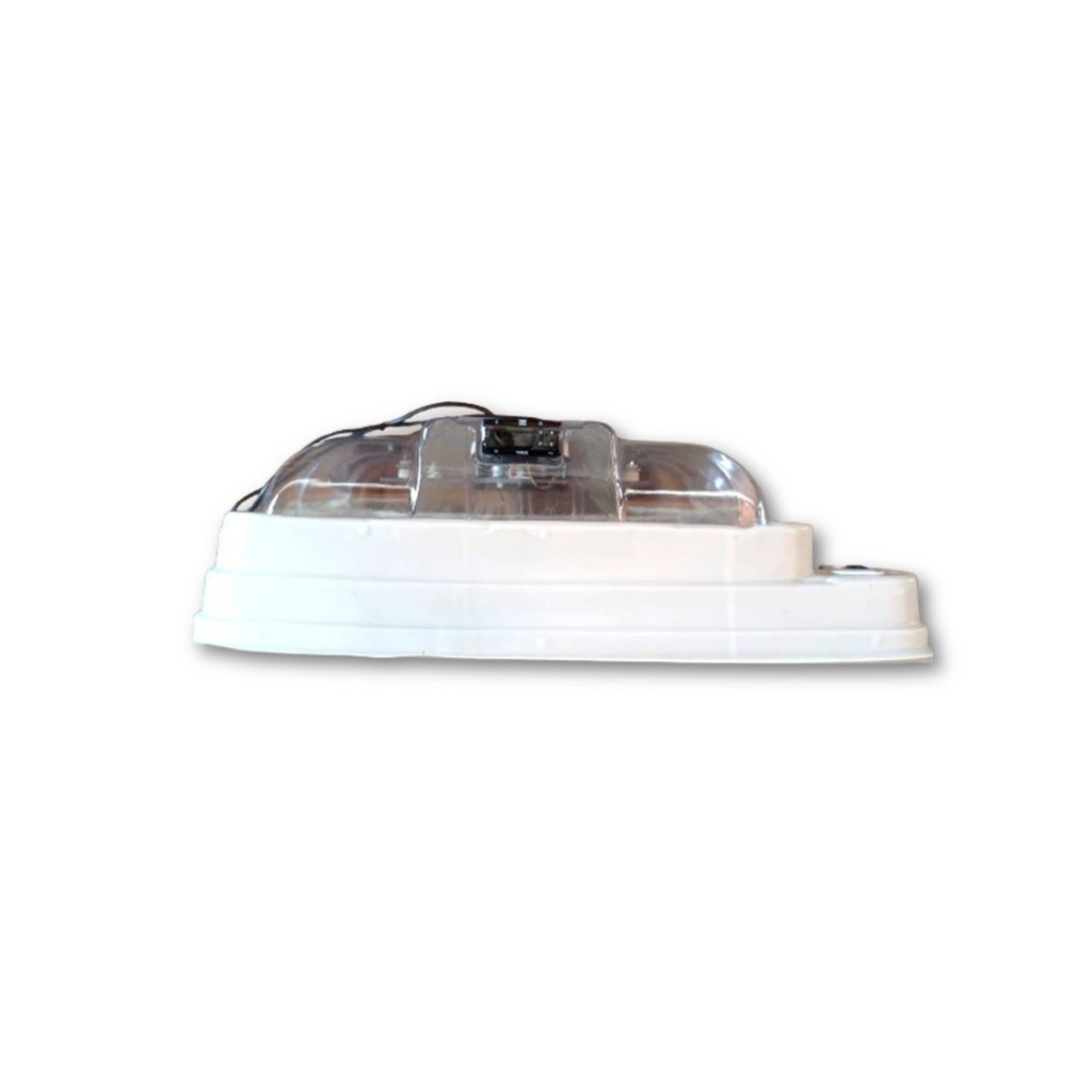 CHOCADEIRA GOLDEN PLÁSTICA 70 OVOS em Oferta na Shopee