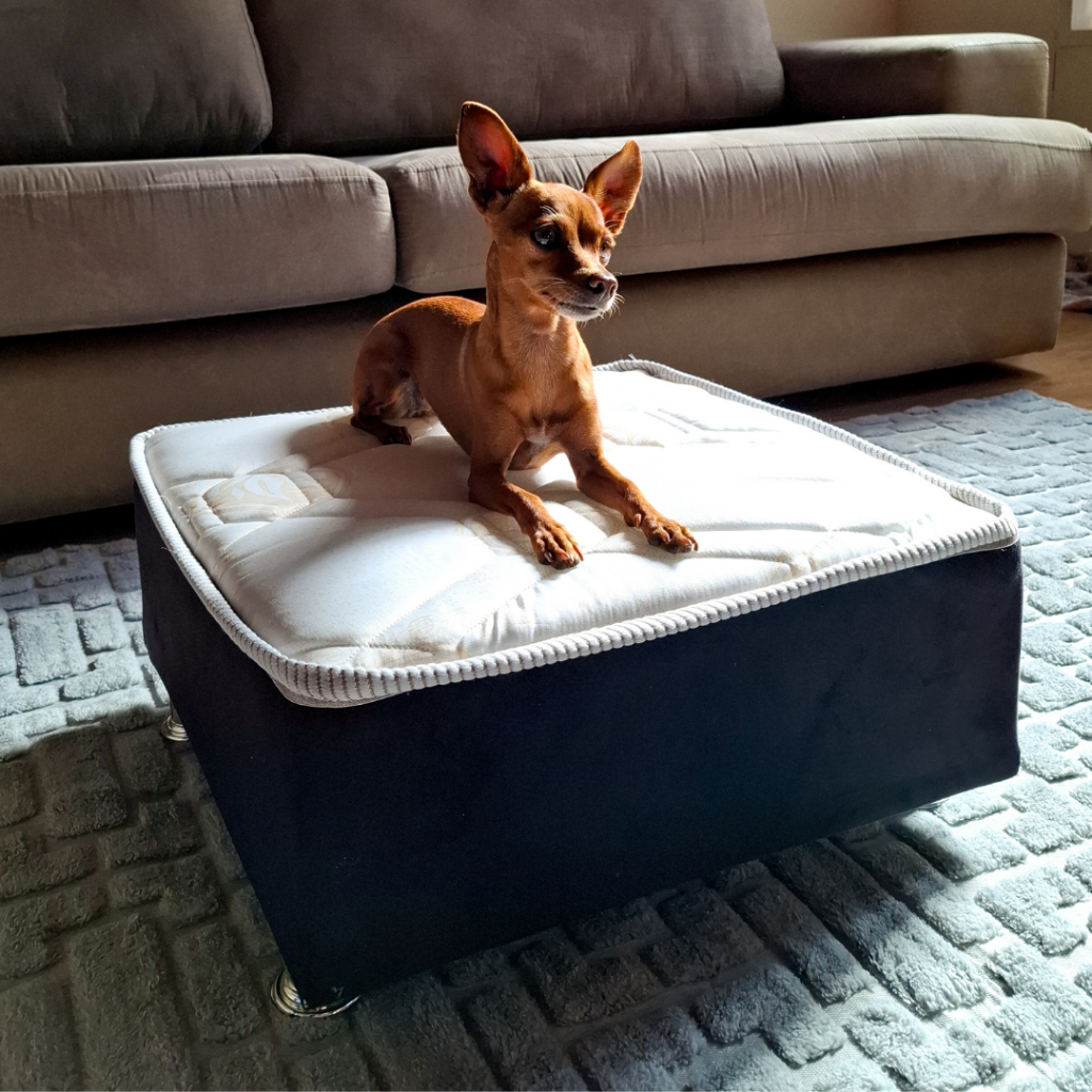 Cama para cães e gatos - 40x50x20cm - CAMAPET