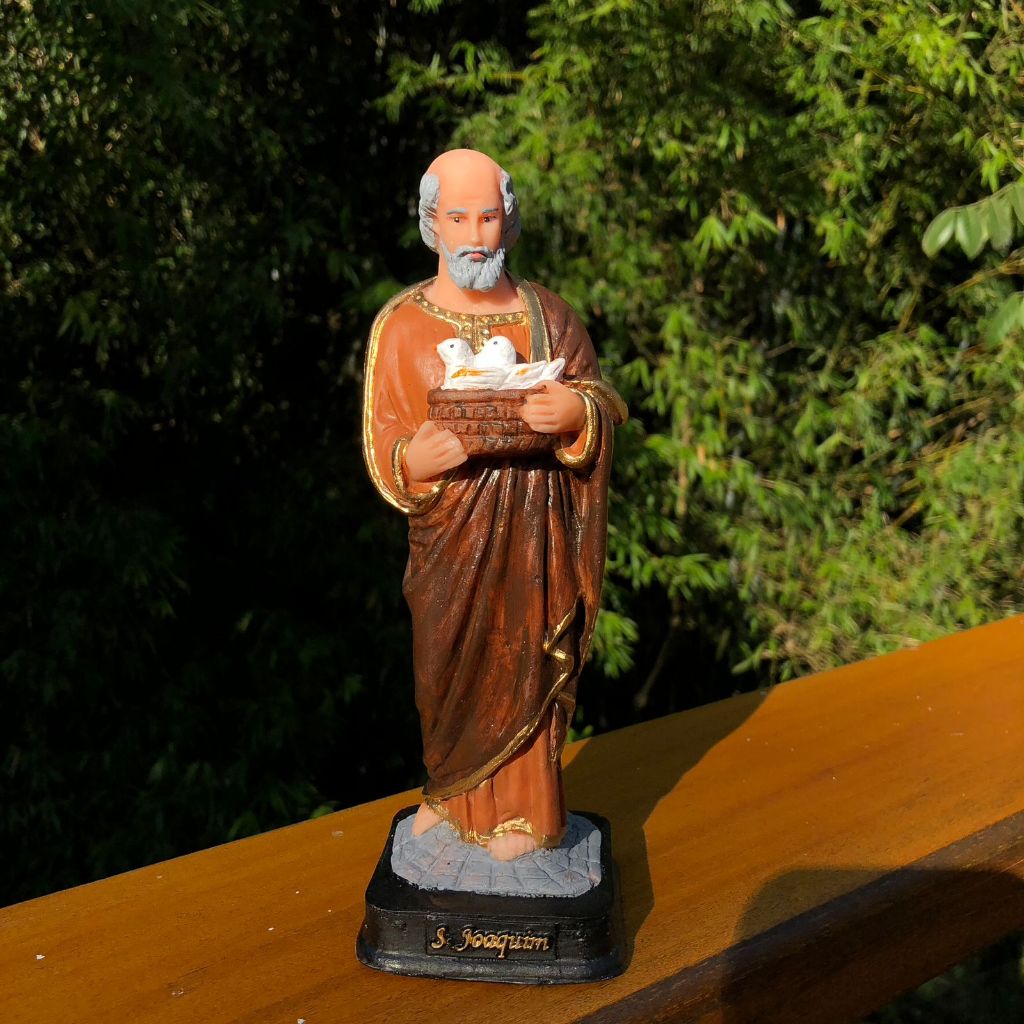 Imagem de São Joaquim Santo Católico Em Resina Artigo Religioso 20cm pintura artesanal