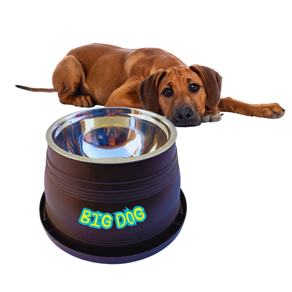 Comedouro bebedouro pet cachorro  gato anti formigas  pets com suporte plástico e vasilha de inox