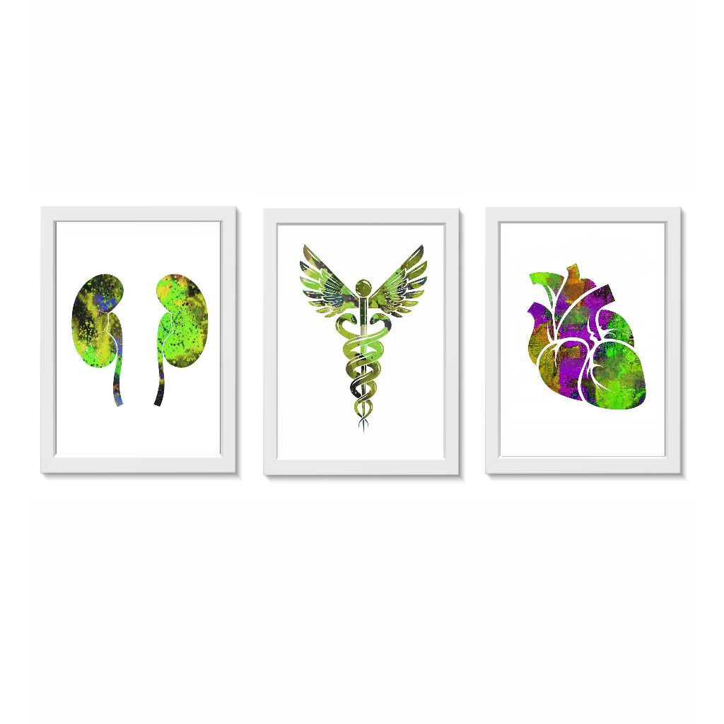 Kit 3 Quadros Decorativos Sistema Urinário Coração Consultório Clínica Medicina Molduras Madeira Vidro Cor Brancas