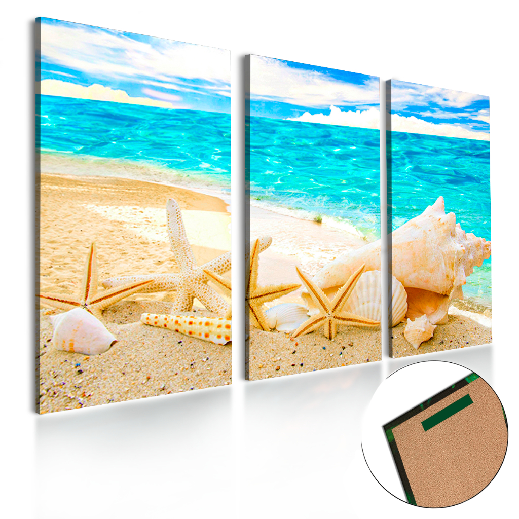 Quadros decorativos 3 Peças estrela do mar concha em Oferta na Shopee