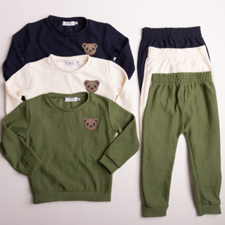 Conjunto Infantil Inverno Moletom Quentinho Ursinho