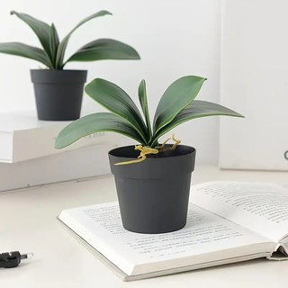 Folha De Orquidea Raizes Arranjos Artificiais Lindas Flores Grande - ZH800407