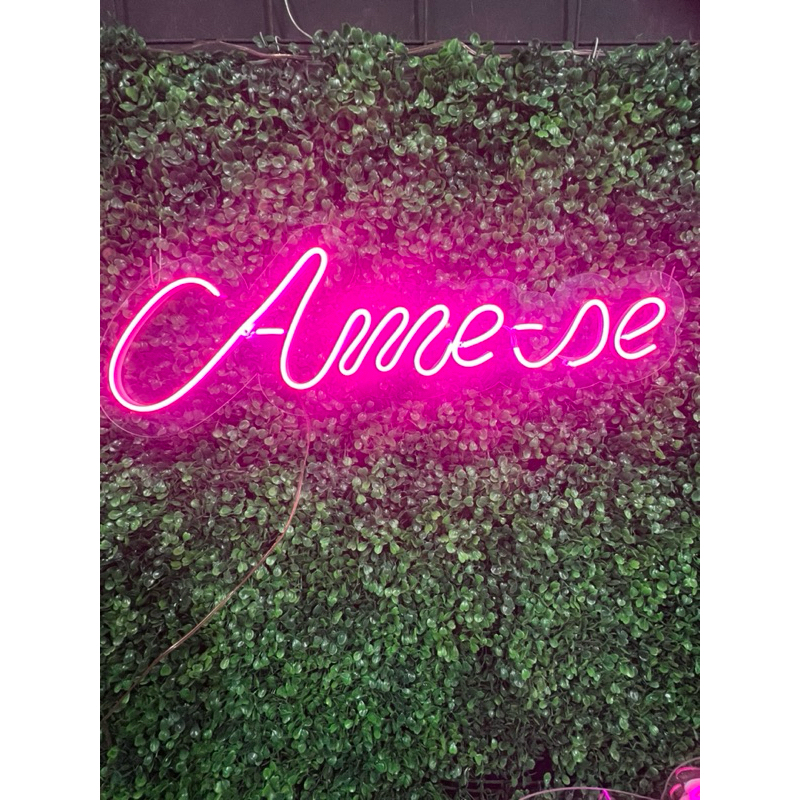 Placa Luminosa Neon Led Ame-se 40x13