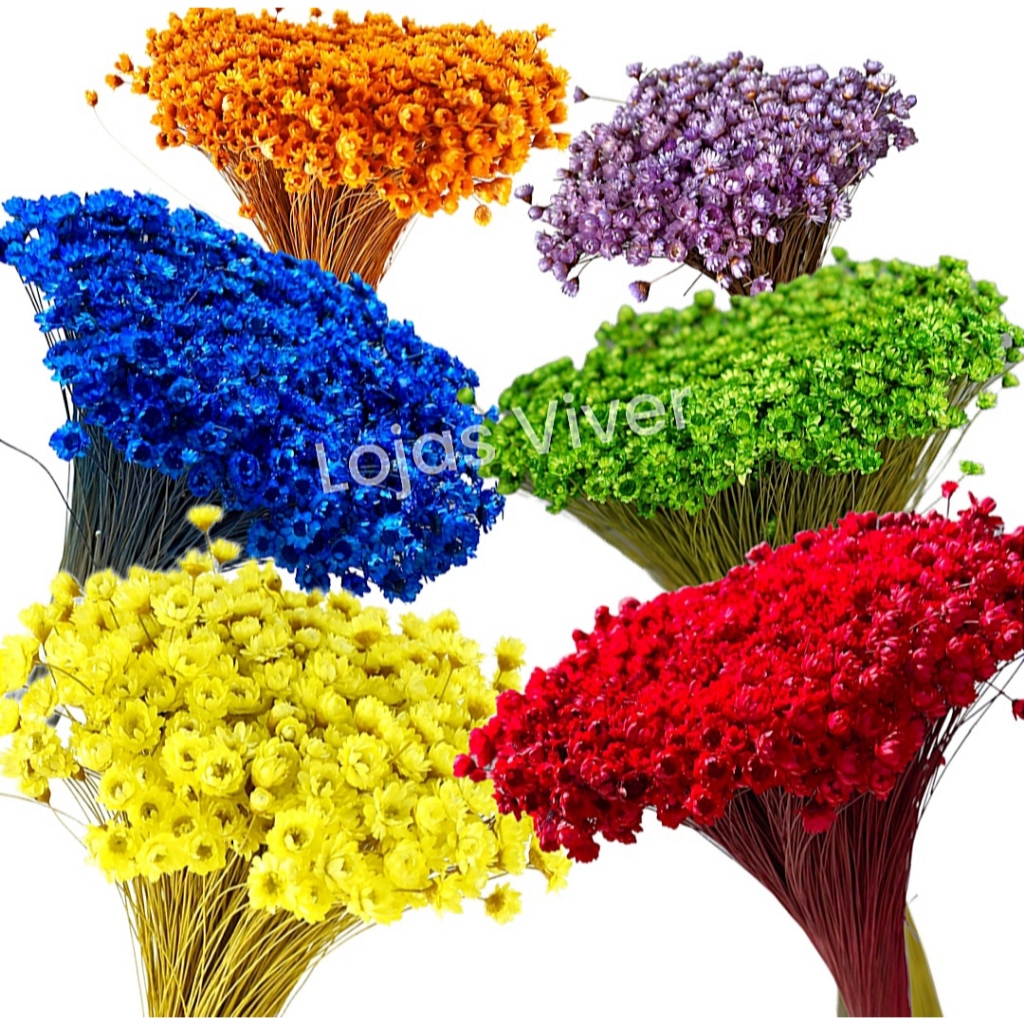 600 Sempre Viva Florzinhas Naturais Mosquitinho.