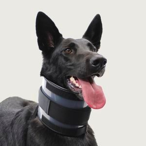 COLAR CERVICAL para Cachorro DO TAMANHO  00 AO NUMERO 08 em Oferta na Shopee