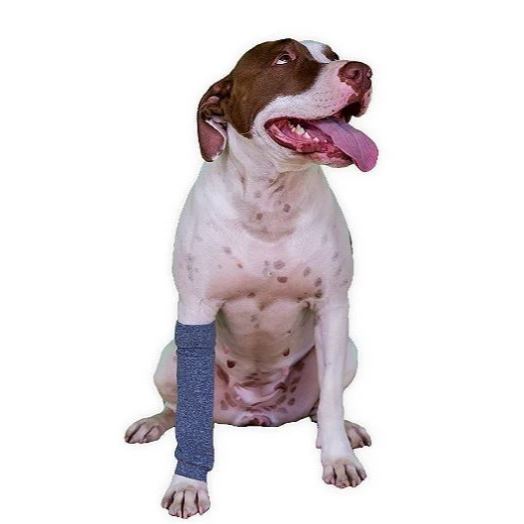 kit 2 Polaina Protetoras de Patas p/ Cachorro  Tamanho 05