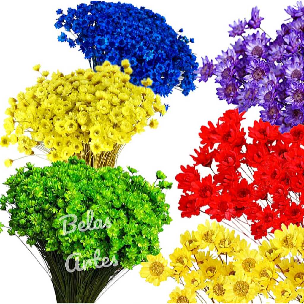 300 Florzinhas Sempre Viva Mosquitinho Naturais.