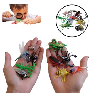 Miniaturas De Inseto De Plástico Vida Animal 10 Peças +3 Anos em Oferta na Shopee