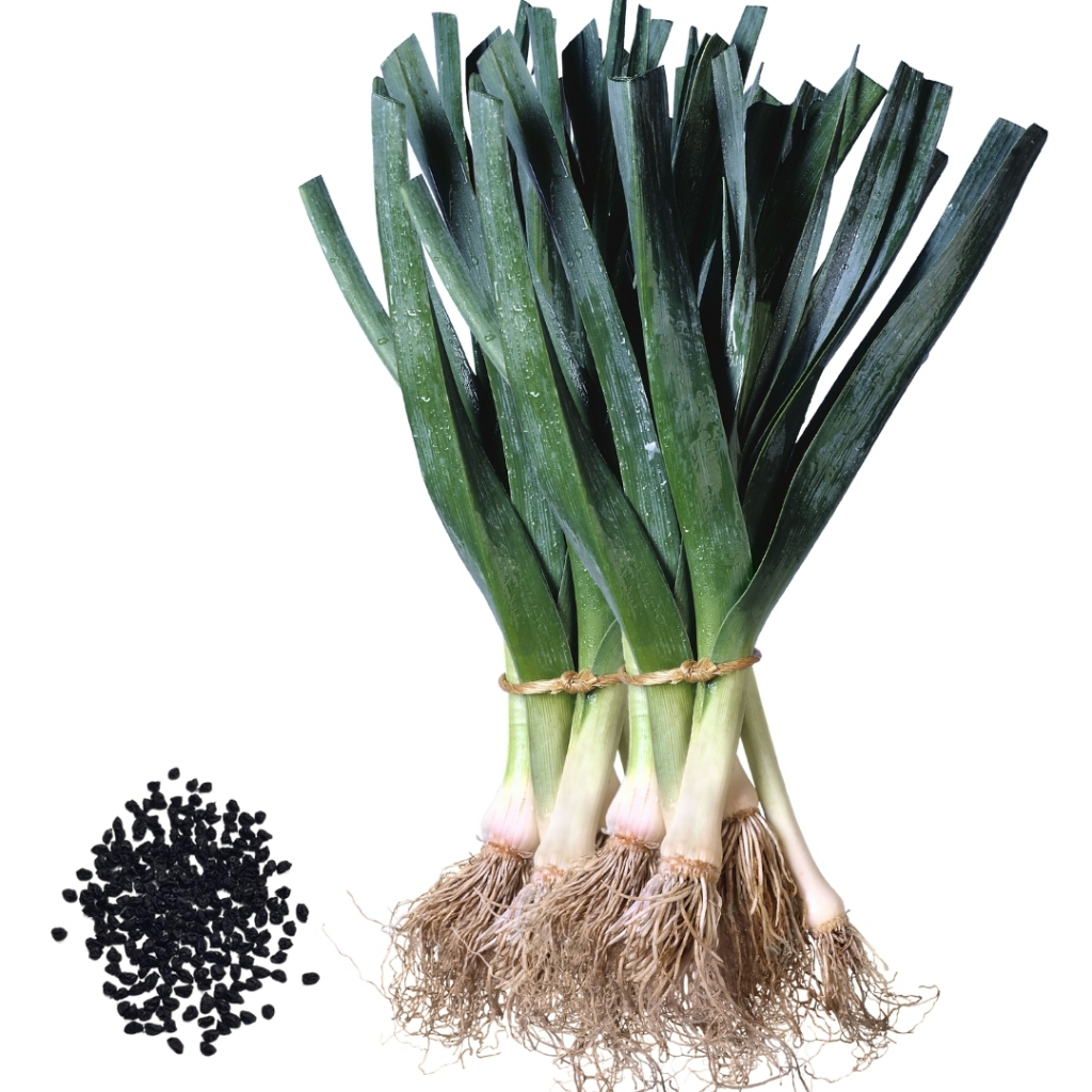 O que é Alho Francês? Guia e Onde Comprar | BuscaProdutos