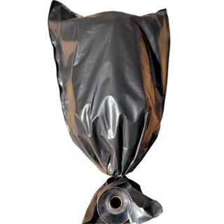 Saco Para isca pet até 6 litros bem grosso, para capturas de abelhas sem ferrão em Oferta na Shopee